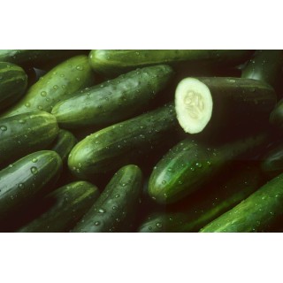 Ogórki 5kg
