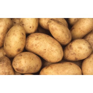 Ziemniaki 1kg